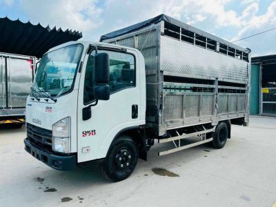 CHỞ GIA SÚC CHỞ GIA SÚC